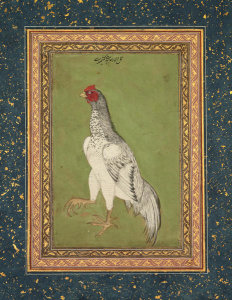Dilaram Pandit Kashmiri - Fighting Cock, c.1620