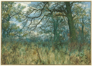 Garden William Fraser - Trees and Undergrowth, 1885