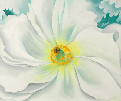 Georgia O'Keeffe - White Flower, 1929