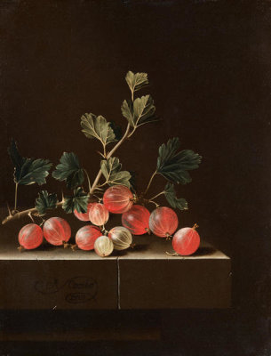 Adriaen Coorte - Gooseberries on a Table, 1701