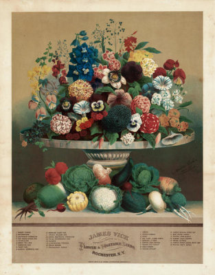 Anton Rahn - Flowers and Vegetable Seeds, 1871-1900
