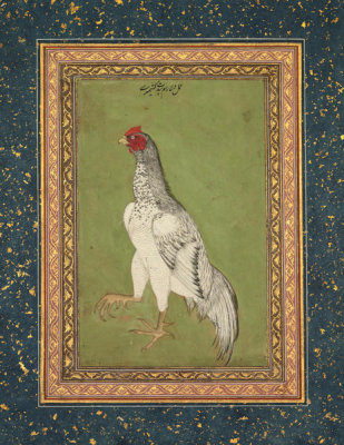 Dilaram Pandit Kashmiri - Fighting Cock, c.1620