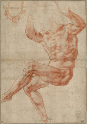 Michelangelo Buonarroti - Study for the Nude Youth over the Prophet Daniel (recto), 16th century