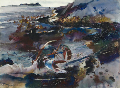 Andrew Wyeth - Lobster #7, 1940
